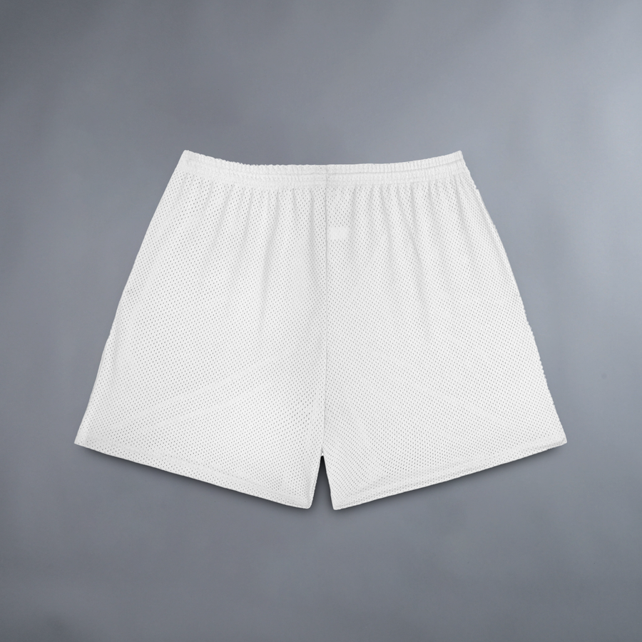 WHAT'S YOUR DAMAGE? 'BOX STYLE' MESH SHORTS IN WHITE